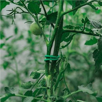 Проволока подвязочная, 5 м, d=3 мм, мягкая, Greengo