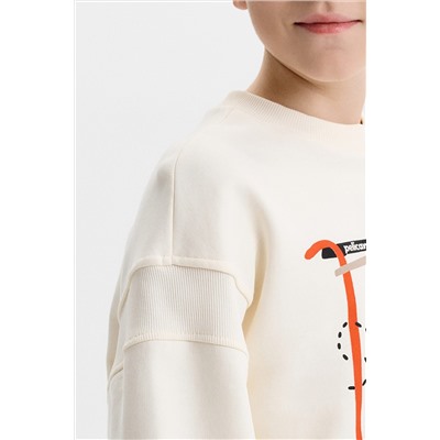 Толстовка для мальчиков PELICAN, 1236462