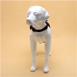 Шлейка К7, размер М, ОГ 52-66 см, вес 9.5-17.5 кг, мягкая, светоотражающая, красная