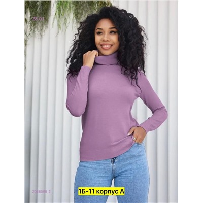 Водолазка 2058095-2