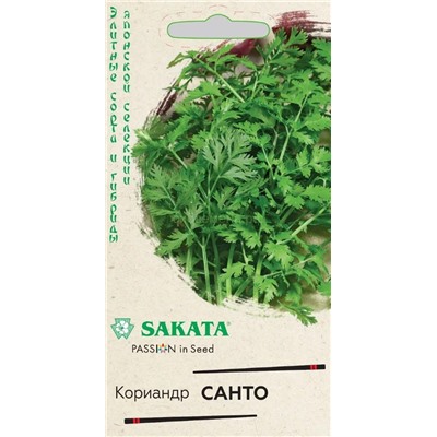 Кориандр Санто (Гавр)