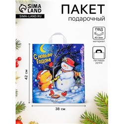 Пакет «Вечерок», полиэтиленовый с петлевой ручкой 38×42 см