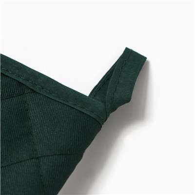 Варежка-прихватка «Алоэ вера», 20×27 см,100% п/э