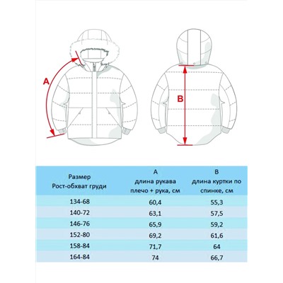 BATIK Куртка 545-23в-164-84-2-02