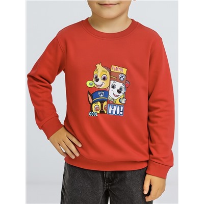 Свитшот для девочки ROC25