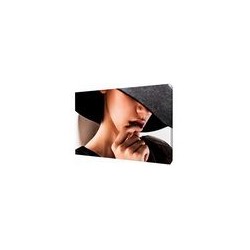 Сюжет 38х48см картина на холсте 3040-Р947