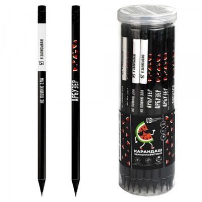 Карандаш черногр. "ГЕРОИ С ХАРАКТЕРОМ" 70092 Феникс