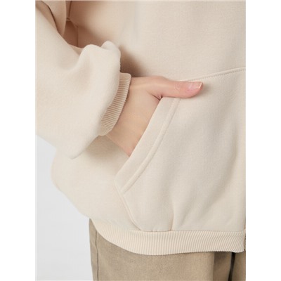 ТОЛСТОВКА ЖЕНСКАЯ 172006