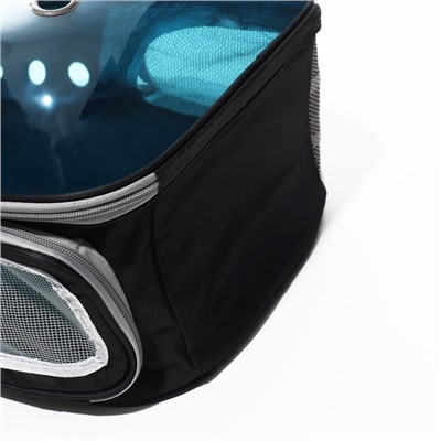 Рюкзак для переноски кошек и собак, 33×25×41 см, прозрачный, с напылением