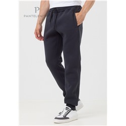 PDB-228 (Брюки мужские спортивные, PanteLemone )
