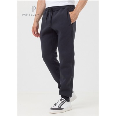 PDB-228 (Брюки мужские спортивные, PanteLemone )
