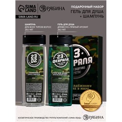 Подарочный набор «С 23 Февраля!»: гель для душа и шампунь для волос, 2×250 мл, HARD LINE