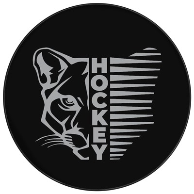 Шайба хоккейная Winter Star, взрослая, d=7.6 см