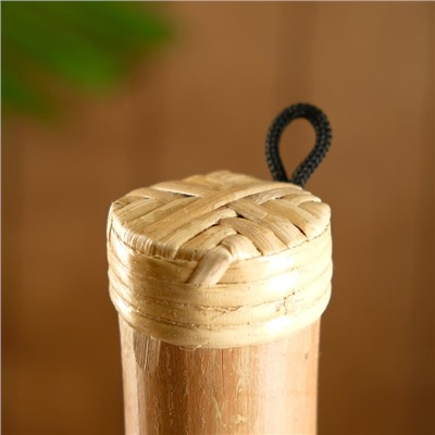 Сувенирный музыкальный инструмент «Посох дождя», 60×5×5 см, МИКС