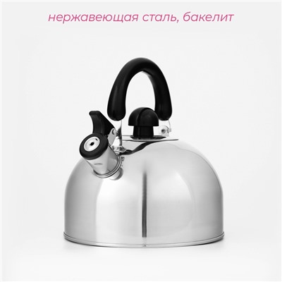 Чайник со свистком Доляна «Чёрная ночь», 3 л, нержавеющая сталь, фиксированная ручка, хромированный