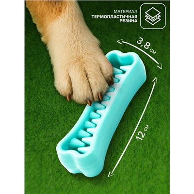 Игрушка-зубочистка для собак Пижон Premium «Зубастик», 12×3.8 см, мятная