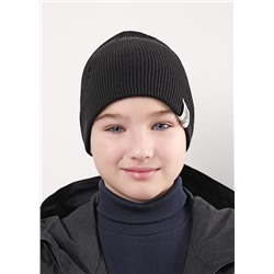 CLEVER Шапка