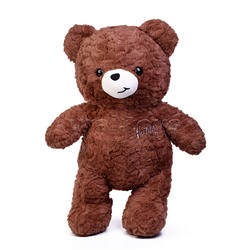 Мягкая игрушка "Медведь" с пледом (110х150)