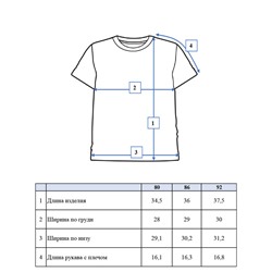 Комплект детский трикотажный для мальчиков: фуфайка (футболка), брюки