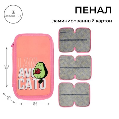 Пенал школьный, 3 секции, 12.5×20.5×5.5 см «Авокадо»