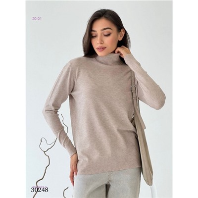 Водолазка 2054292-3