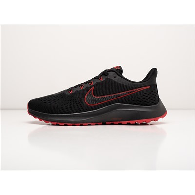 Кроссовки Nike Pegasus