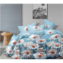 Текс-плюс КПБ Общий НФ-00227644