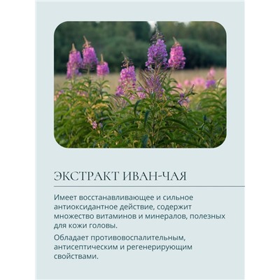 Шампунь детский с алое и маслом ши Baby Balance нежный, 250 мл