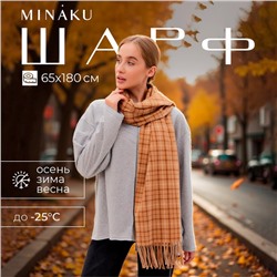 Шарф зимний с кистями MINAKU 65*180 + 8 см цвет бежевый