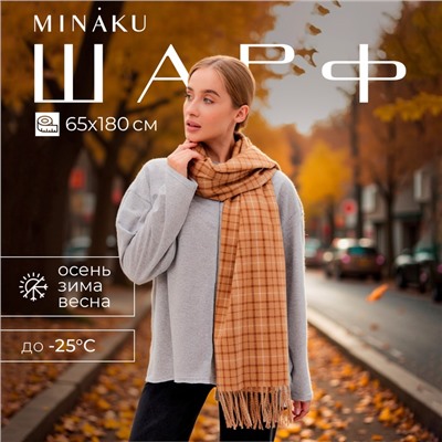 Шарф зимний с кистями MINAKU 65*180 + 8 см цвет бежевый