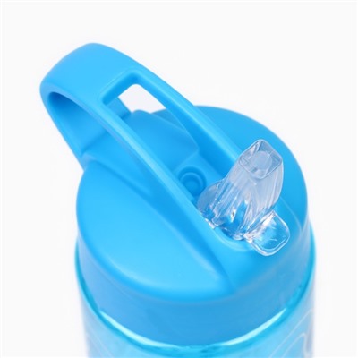 Бутылка для воды, 700 мл, 24.5×6.5 см