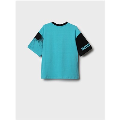 Фуфайка трикотажная для мальчиков (футболка)