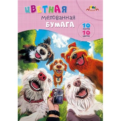Набор цветной бумаги мелованной А4 10л 10цв "Селфи собак" в папке С0278-01 АппликА