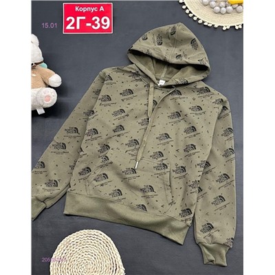 кофта с начесом 2050828-3