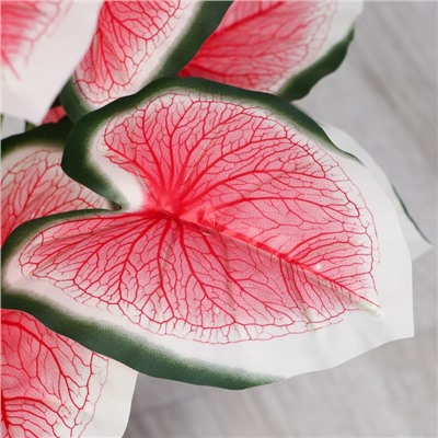 Дерево искусственное «Каладиум Флорида», h=87 см