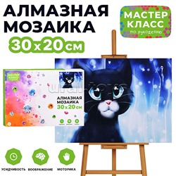 Мозаика алмазная "Чёрный котёнок" 20*30см.
