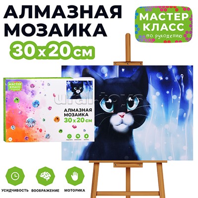 Мозаика алмазная "Чёрный котёнок" 20*30см.