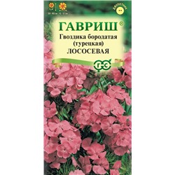 Гвоздика турецкая лососевая (Гавр)