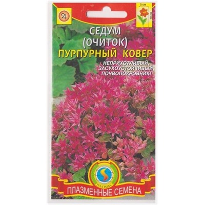 Седум (очиток) Пурпурный ковер (Код: 76095)