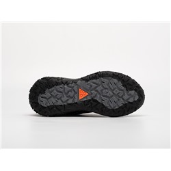 Кроссовки Nike ACG Mountain Fly 2 Low