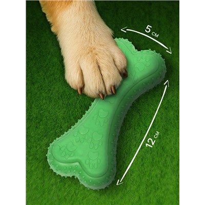 Жевательная игрушка для собак «Объемная кость с лапками», 12 с, TPR, зелёная