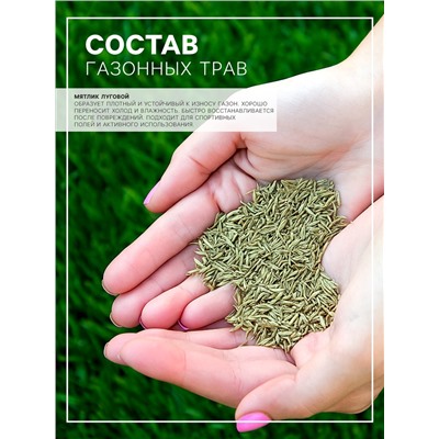 Семена Мятлик луговой "Балин", 400 г