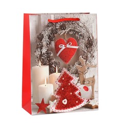 Пакет подарочный 18х24х8.5 / 362-106-S /уп 12/720/Новый год