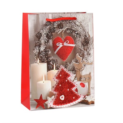 Пакет подарочный 18х24х8.5 / 362-106-S /уп 12/720/Новый год