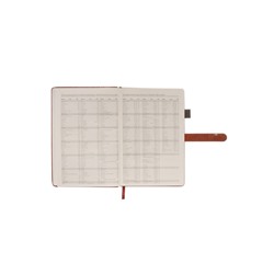 Ежедневник недатированный формат А5, 80л, линия, с ручкой, подар коробка, Коричневый