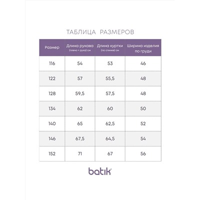 BATIK Куртка 660-24в-1