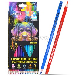 Карандаши цветные пластиковые "Triolino. Erase" стираемые, 24 цвета, 2М, диаметр грифеля 3мм