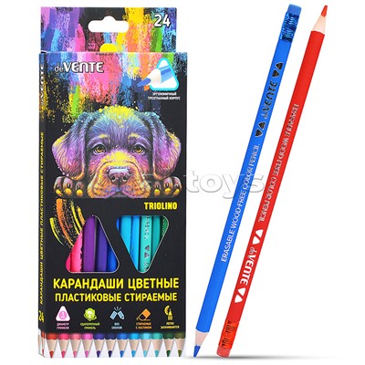 Карандаши цветные пластиковые "Triolino. Erase" стираемые, 24 цвета, 2М, диаметр грифеля 3мм