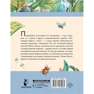 АСТ Ларри Я.Л. "Необыкновенные приключения Карика и Вали"