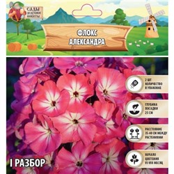 Флокс "Александра" р-р I, 2 шт, Весна 2025